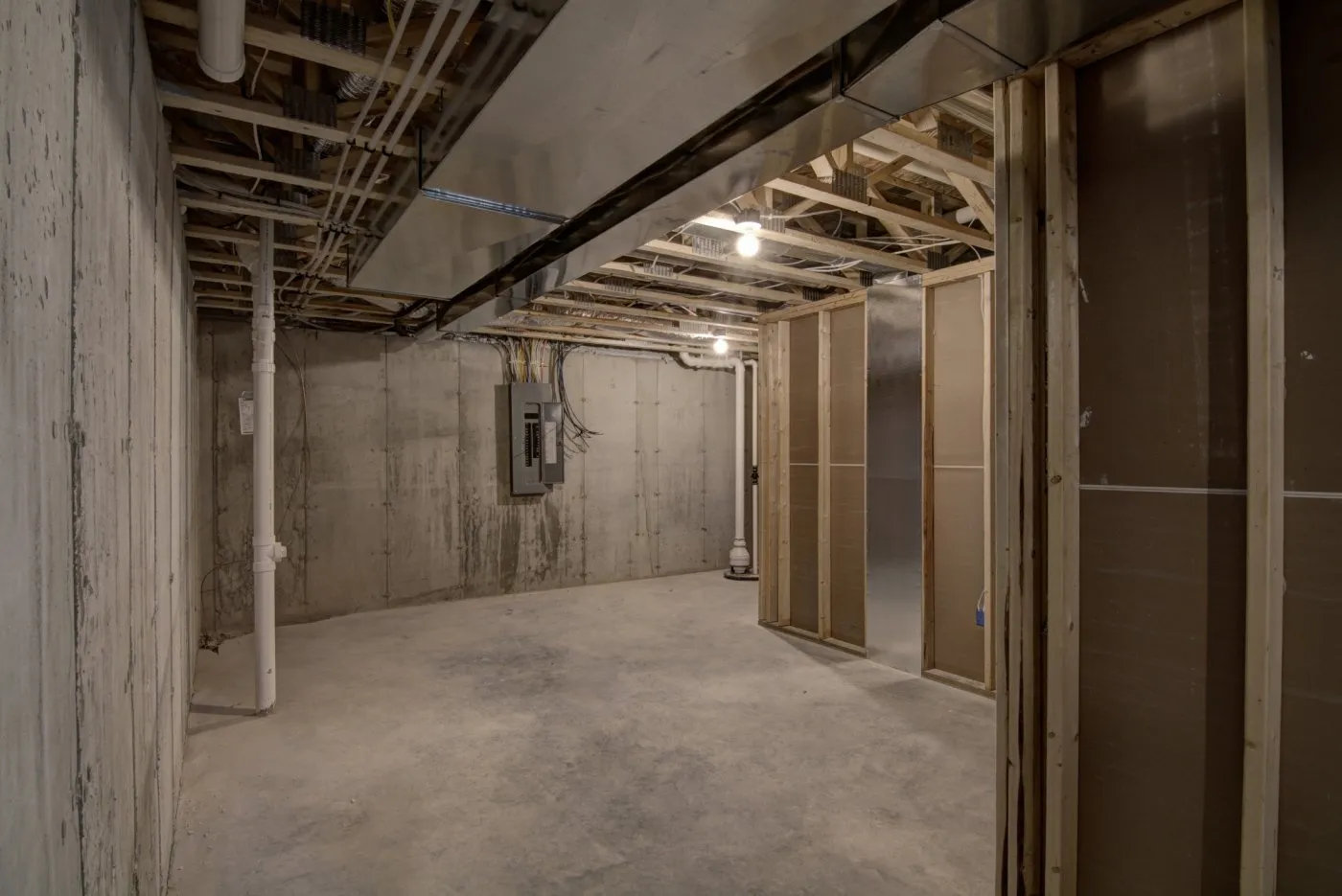The-Freeman-Basement